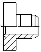 hình ảnh004