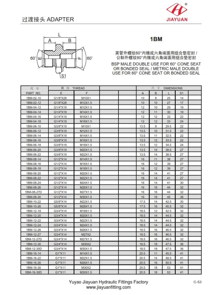 Con dấu hình nón 60 mét nam