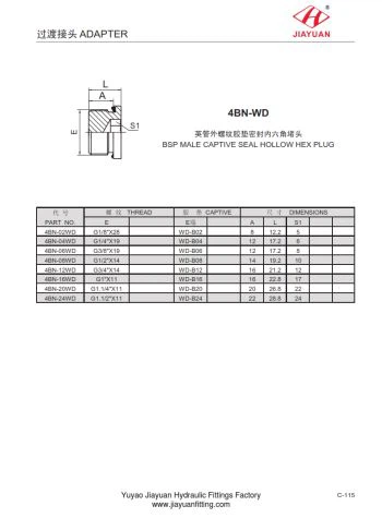 BSP cắm Hex nội bộ ED