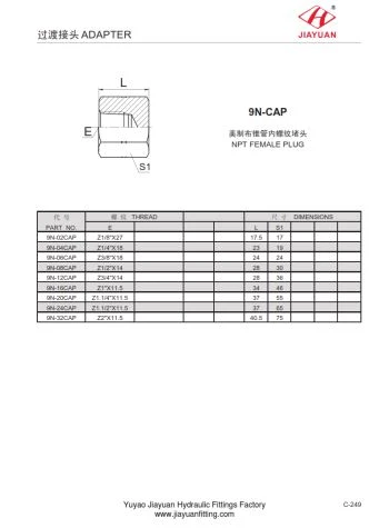 NPT nữ cắm