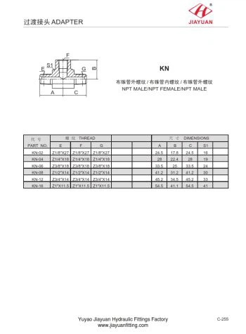 Bộ chuyển đổi NPT To Bspt Nam hoặc Nữ