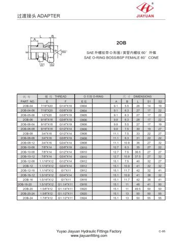 SAE O-ring Boss BSP Lắp